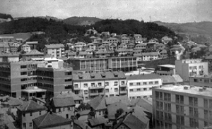 Панорама града и део Царине